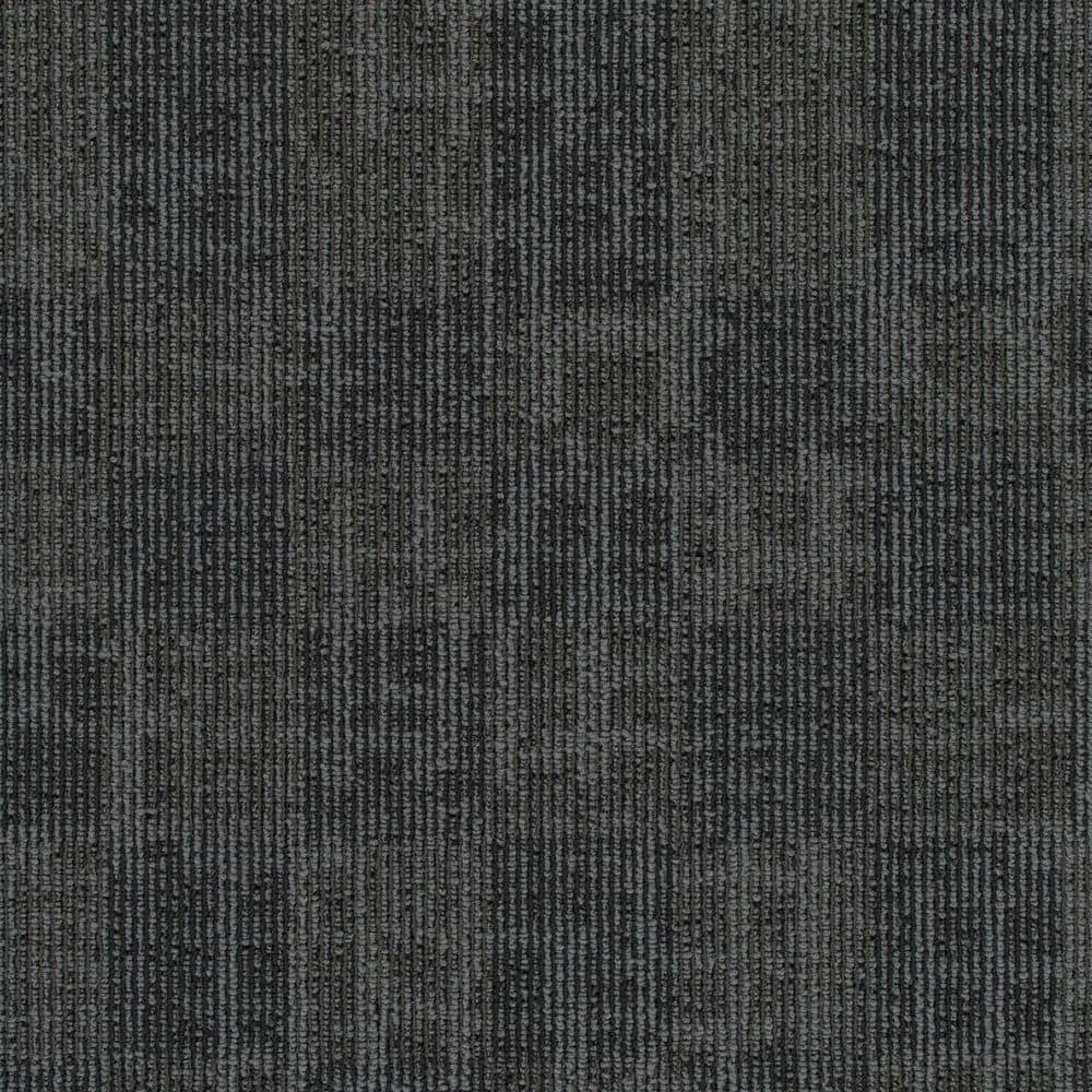 8 in. x 8 in. Loop Carpet Sample - Rustic Wear - Color Backward Chaining price history on PriceWatchPro