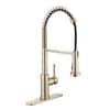 Glacier Bay Paulina Single Handle Spring Neck Pull Down Sprayer Kitchen Faucet In Matte Gold