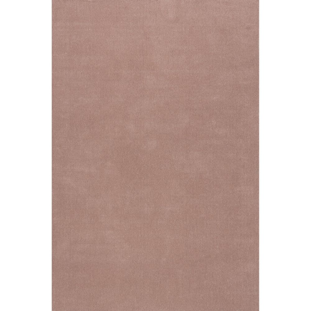 Maru Wool Blush 4 ft. x 6 ft. Indoor Area Rug price history on PriceWatchPro