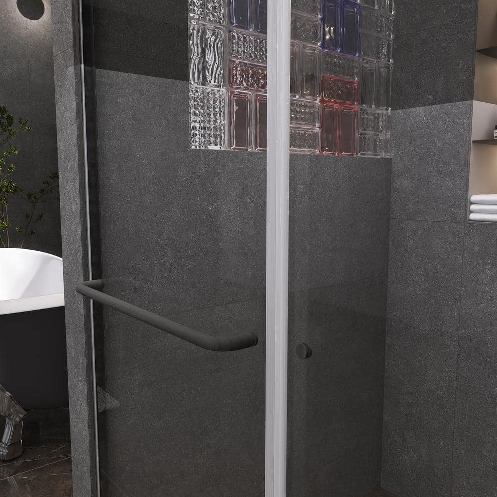 48" Black Framed Double Sliding Shower Door with Clear Glass