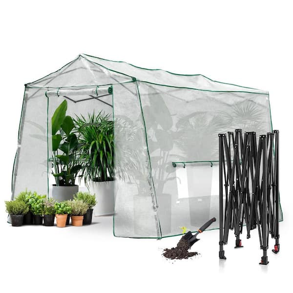 Zeus & Ruta 82.8 in. W x 102 in. D x 86.4 in. H Walk-in Greenhouse with Entry Doors and 3 Large Roll-Up Side Windows for Garden