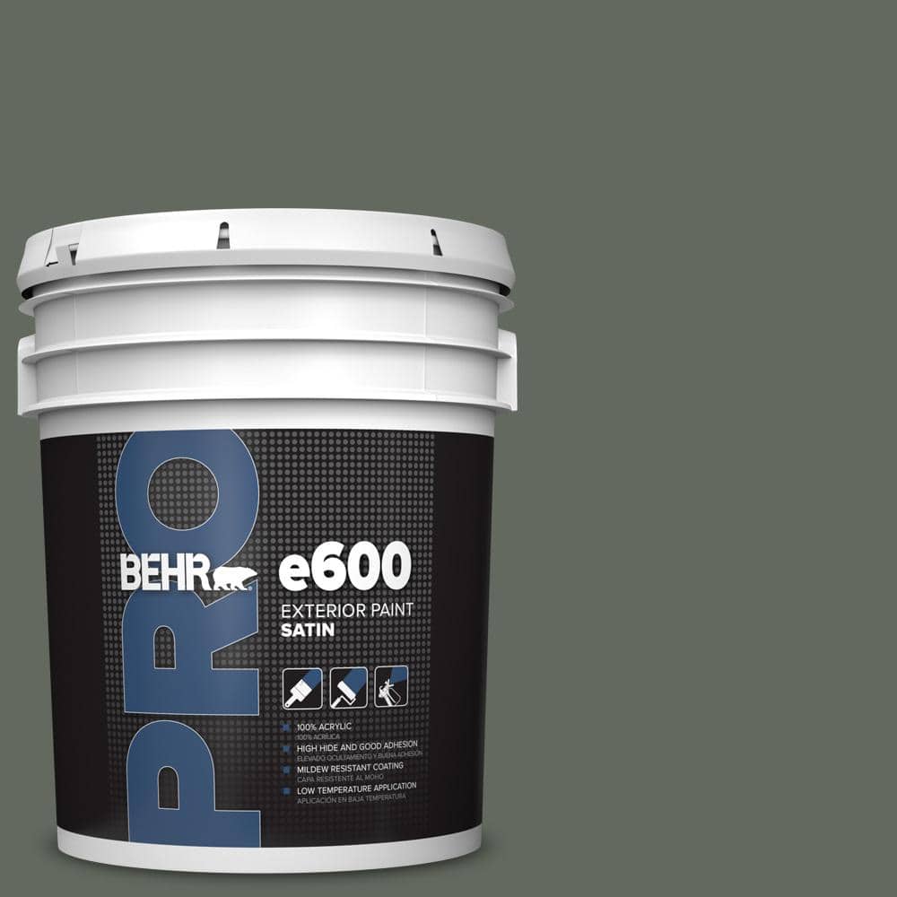 5 gal. #N410-6 Pinecone Hill Satin Enamel Exterior Paint price history on PriceWatchPro