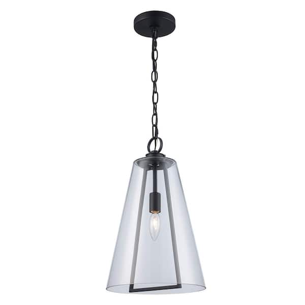 Siobhan 16 in. 1-Light Black Outdoor Hanging Light Pendant Light with Clear Glass