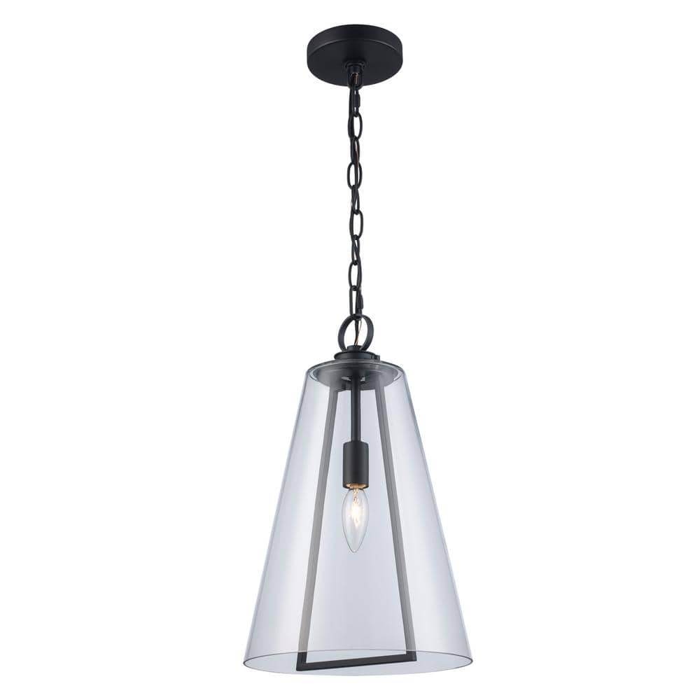 Siobhan Medium Black Metal and Clear Glass Hanging Pendant Light