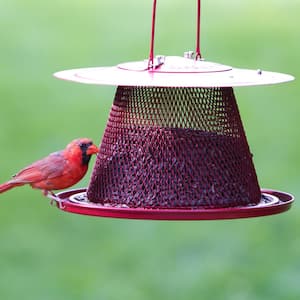 Red Cardinal Hanging Bird Feeder - 2.5 lb. Capacity