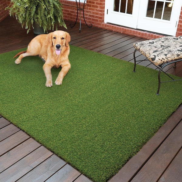 Pet Turf 3.75 ft. x 9 ft. Green Artificial Grass Runner Rug
