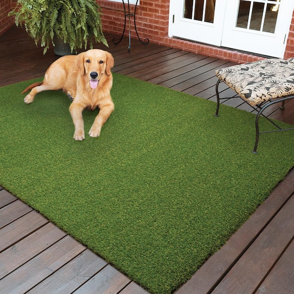 Memphis Artificial Grass Experts Artificial Grass Installation