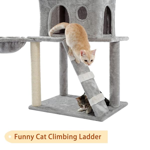 Cat Tree 60" Climb Scratching Post Furniture Scratcher Play House Toys Beige USA 