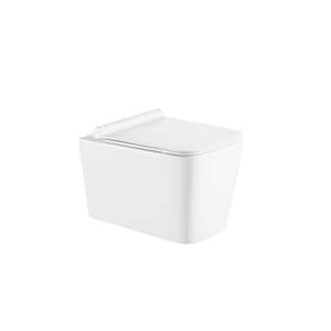 Baxter Wallhung Square Toilet Bowl with Soft Close Seat in White