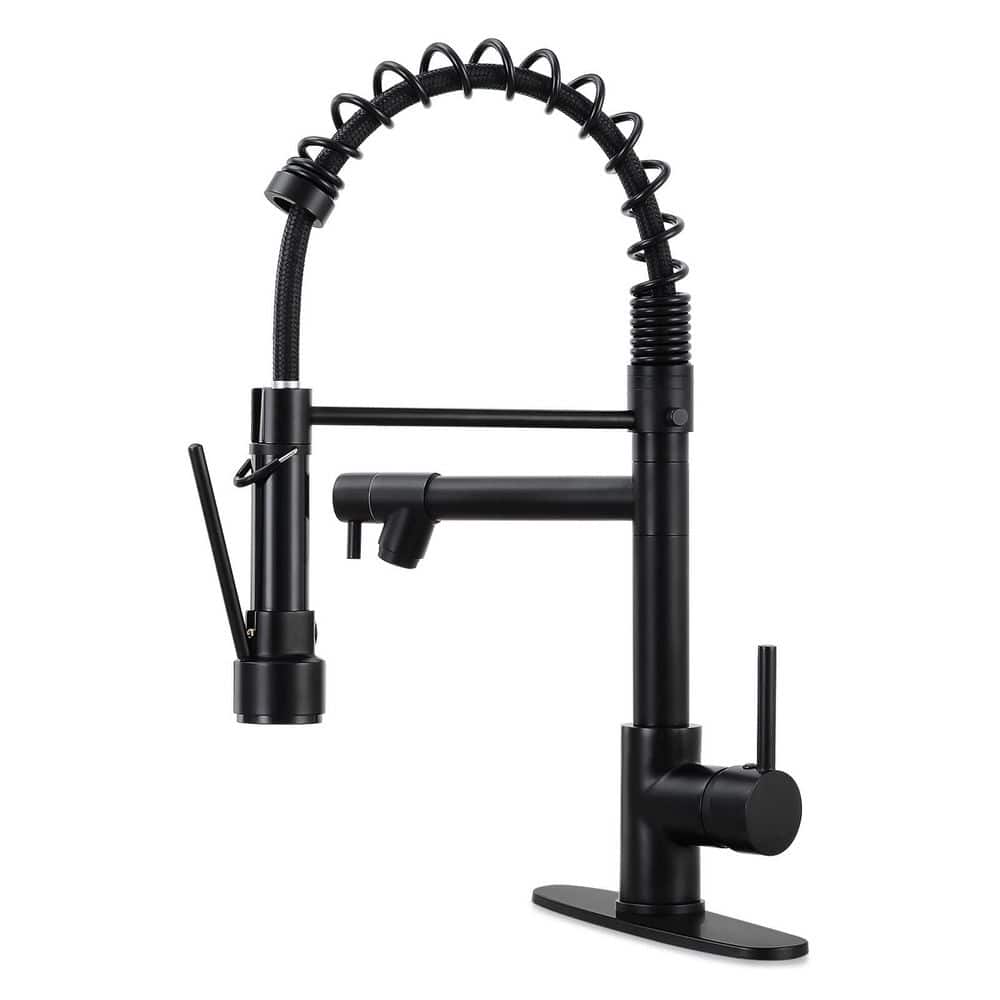 Matte Black 18.1 in. H 2-Spout Pull Down Sprayer Kitchen Faucet with 360° Spout Swivel price history on PriceWatchPro