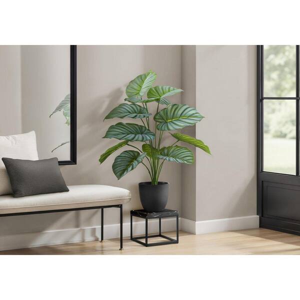 24 in. Artificial Green Indoor Calathea Plant, Faux Calathea, Fake