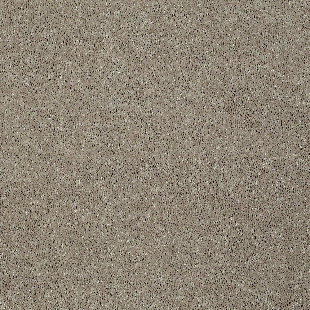 8 in. x 8 in. Texture Carpet Sample - Brave Soul I - Color Dream Dust price history on PriceWatchPro