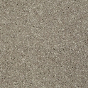Brave Soul I - Dream Dust - Brown 34.7 oz. Polyester Texture Installed Carpet