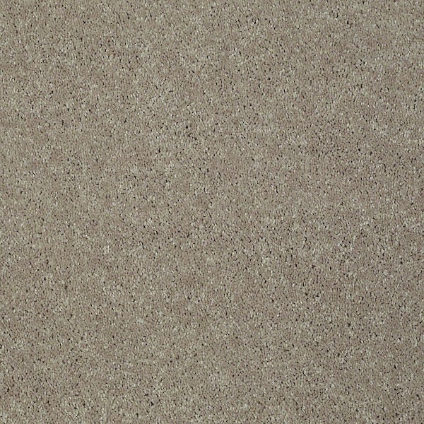 Home Decorators Collection Brave Soul I - Dream Dust - Brown 15 ft. 34.7 oz. Polyester Texture Carpet - Installation Required