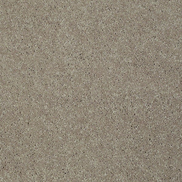 Home Decorators Collection Brave Soul II - Dream Dust - Brown 44 oz. Polyester Texture Installed Carpet
