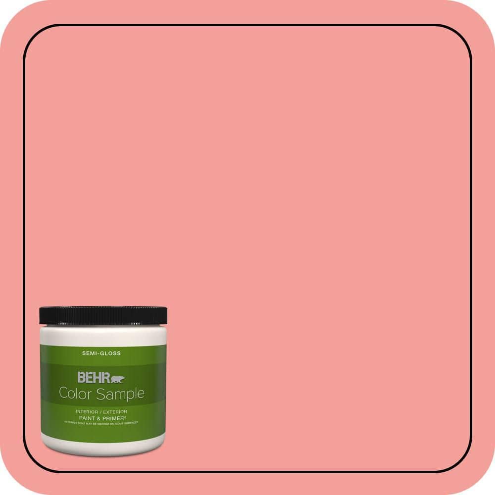 8 oz. #150B-4 Pink Eraser Semi-Gloss Interior/Exterior Paint & Primer Color Sample price history on PriceWatchPro
