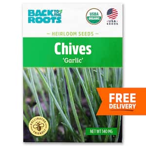 Organic Garlic Chives Seed (1-Pack)