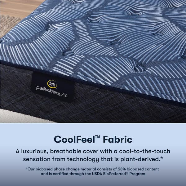 Perfect Sleeper Oasis Sleep Twin XL Plush 13.25 in. Mattress Set with 9 in. Foundation