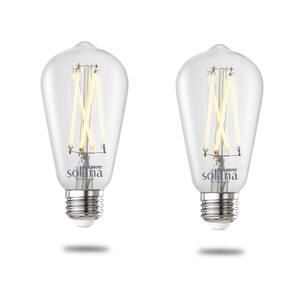 ST18 - LED Light Bulbs - Light Bulbs - The Home Depot