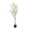 Clihome 59 in. H Artificial Disc Leaf Tree CL-NC-74334 - The Home Depot