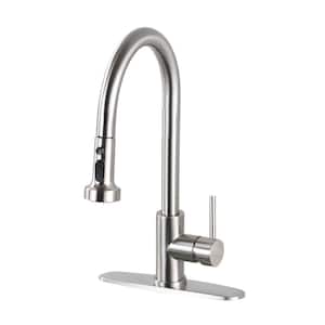 Single Handle Pull Down Sprayer Kitchen Faucet with Deckplate Included and Sprayer in Brushed Nickel