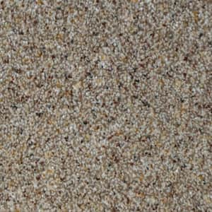 Port Abigail I  - Island - Brown 45 oz. SD Polyester Texture Installed Carpet