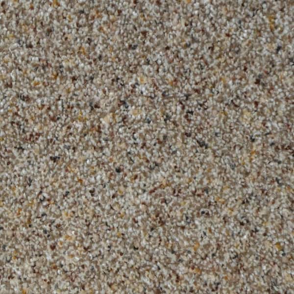 Home Decorators Collection Port Abigail I  - Island - Brown 45 oz. SD Polyester Texture Installed Carpet