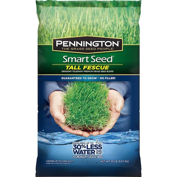 Pennington Smart Seed 20 lb. Tall Fescue Grass Seed