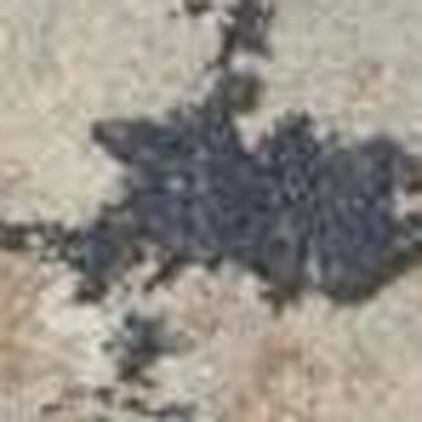 8' Blue and Red Floral Distressed Runner Rug