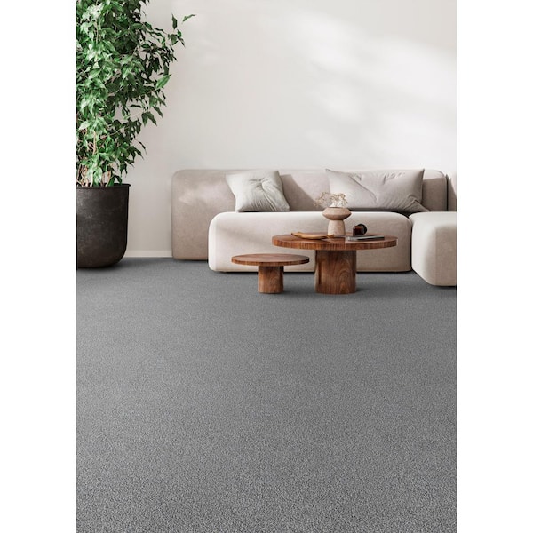 Cinderella Soft II-Delightful Multi-Colored-75 oz. SD Polyester Texture Carpet - Installation Required