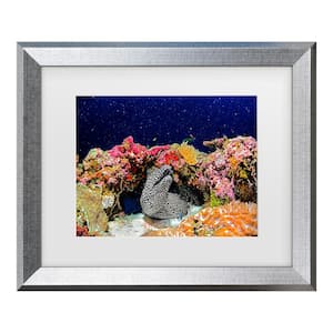 Roberto Marchegiani Under The Star Matted Framed Photography Wall Art 14.5 in. x 17.5 in.