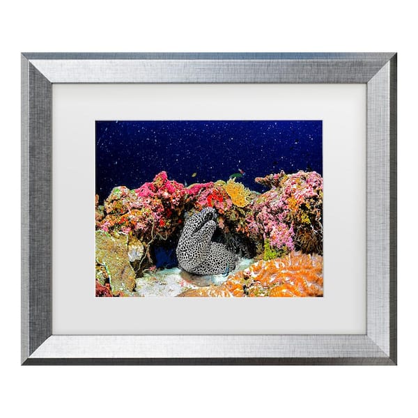 Trademark Fine Art Roberto Marchegiani Under The Star Matted Framed Photography Wall Art 14.5 in. x 17.5 in.