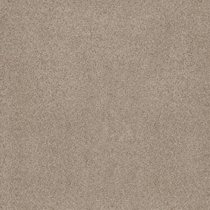 Sand Dunes I - Malt Brown 53 oz. Nylon Texture Installed Carpet