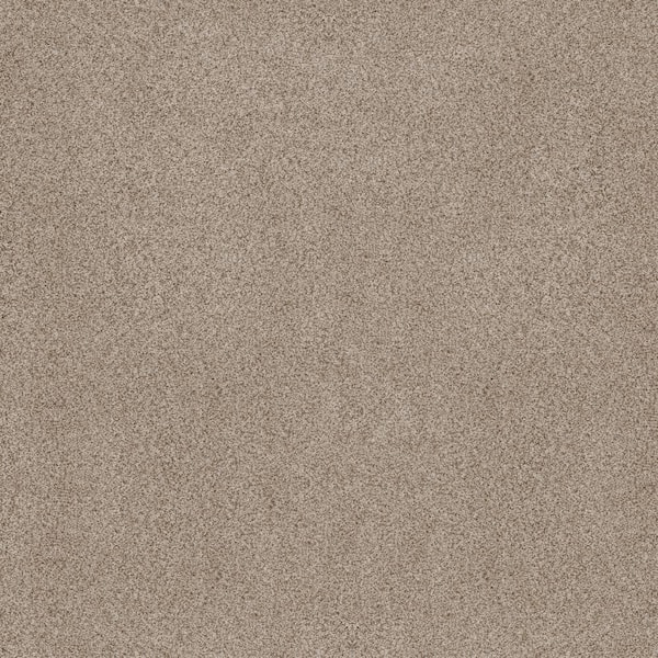 Lifeproof Sand Dunes II Malt Brown 62 oz. Nylon Texture Installed Carpet