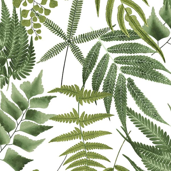 Graham & Brown Midsummer Fern Lush White Removable Wallpaper Sample