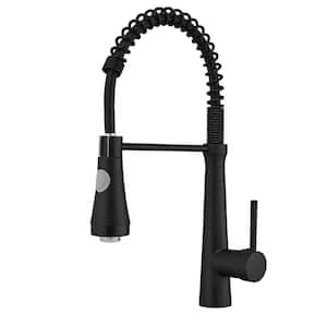 Single Handle Pull-Down Sprayer Kitchen Faucet with LED Lights in Matte Black