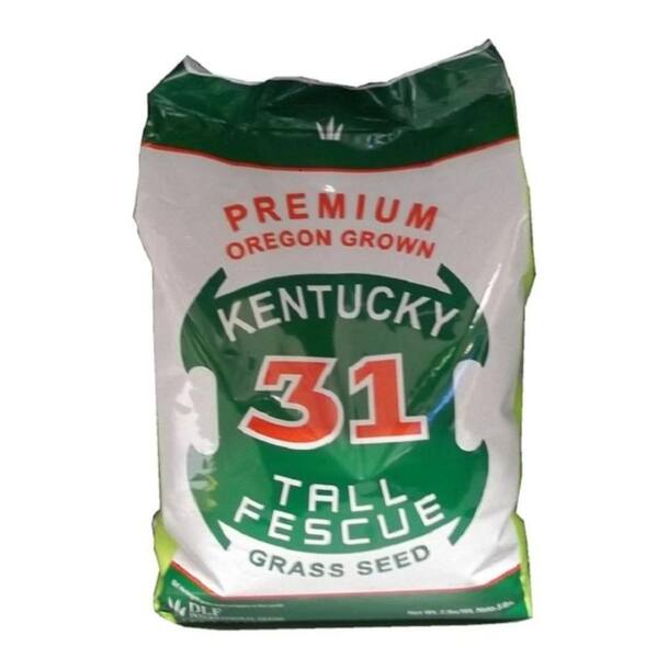 DLF International Seeds 5 lb. Kentucky 31 Tall Fescue Grass Seed