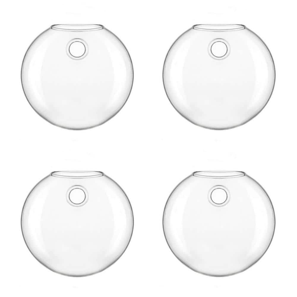 Wall Hanging Glass Planter Oblate Flower Vase for Hydroponics Plants and Li