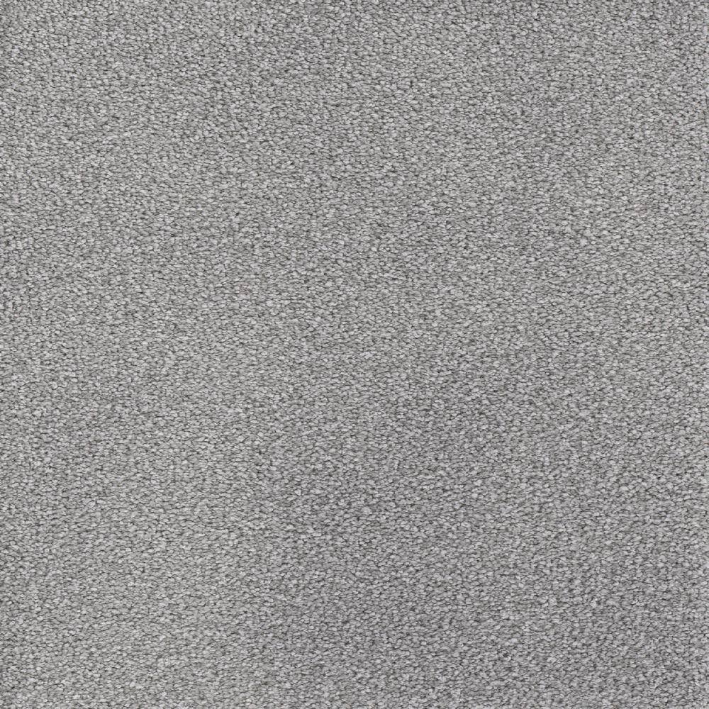 8 in. x  8 in. Texture Carpet Sample - Spicework II -Color Jolliet price history on PriceWatchPro