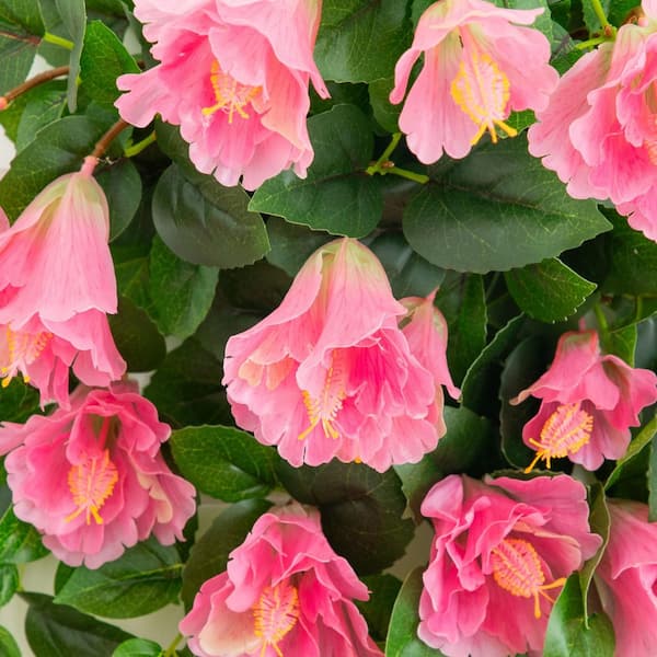 Nearly Natural 41 in. UV Resistant Artificial Hibiscus Hanging