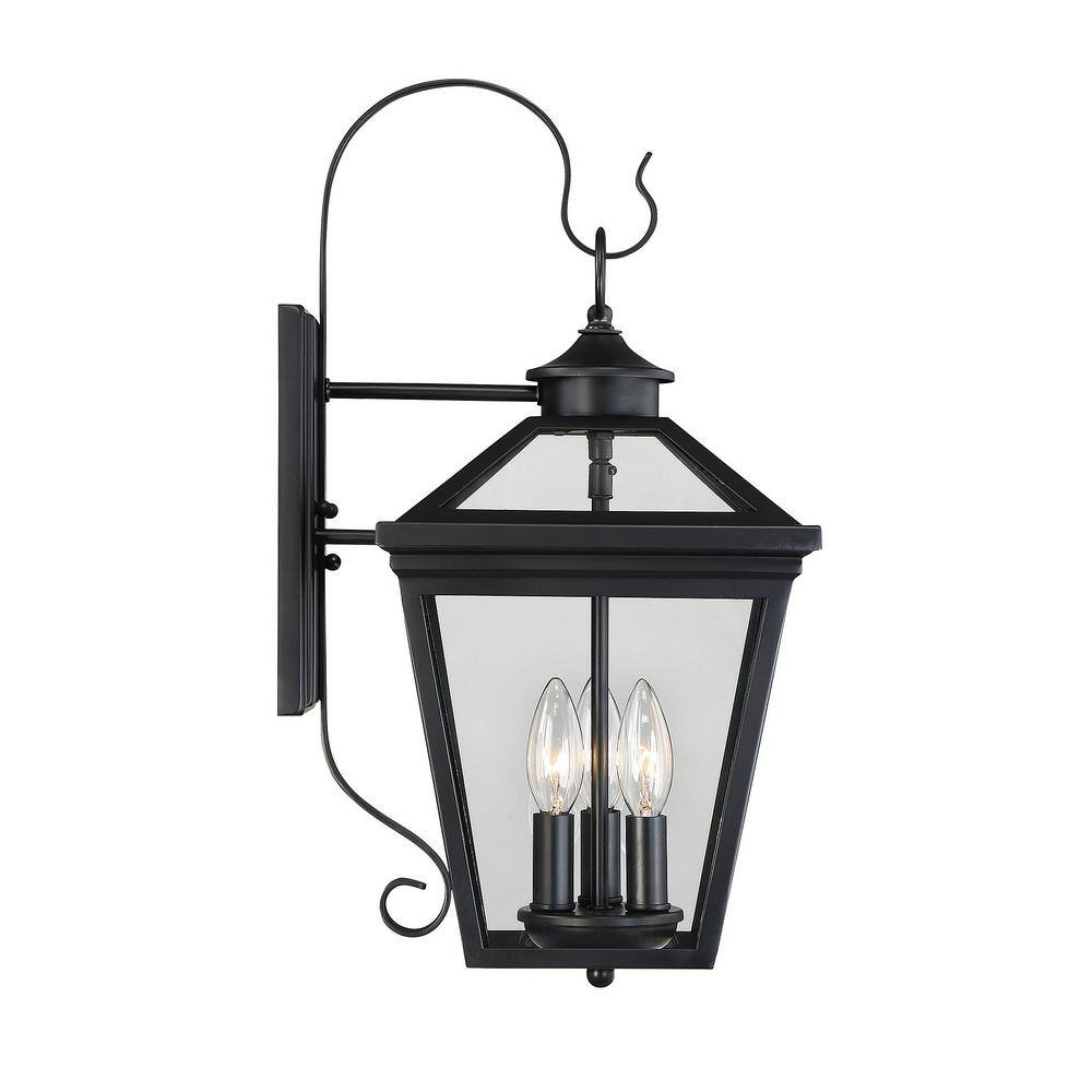 Ellijay Black Glass 3-Light Outdoor Wall Lantern