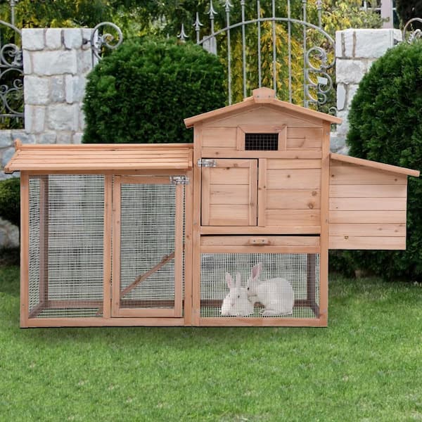 home depot rabbit hutch