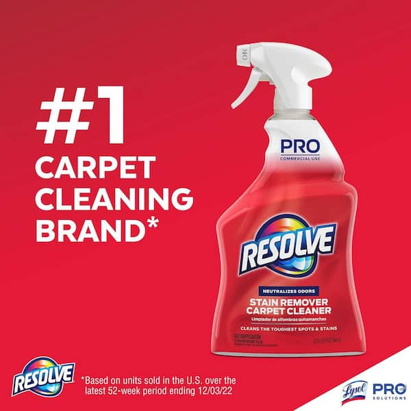 32 oz. Professional Carpet Cleaner and Stain Remover Spray (6-Pack)