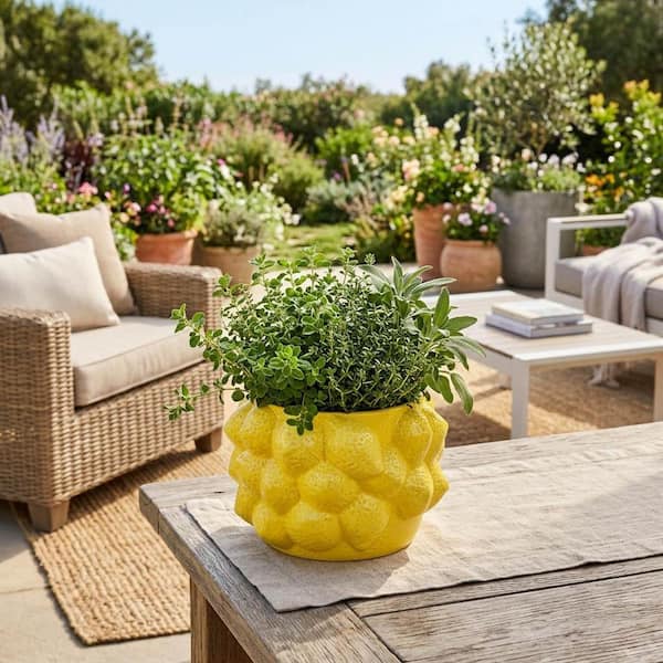 Yellow Ceramic Round Lemons Flower Decorative Planter (8 in. W x 6 in. H)