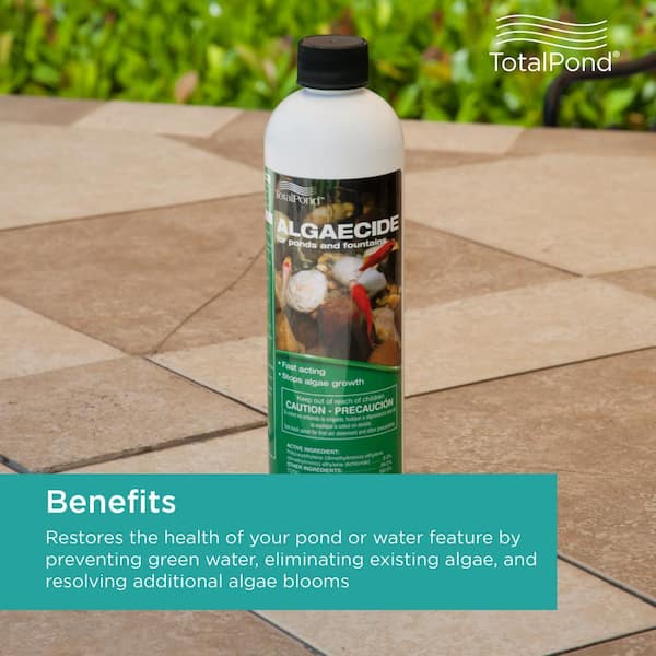 16 oz. Algaecide for Ponds and Fountains
