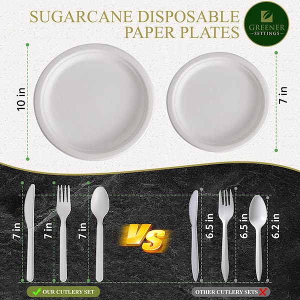 Top Reasons To Get Disposable Paper Plates, by Pioneer Enterprises