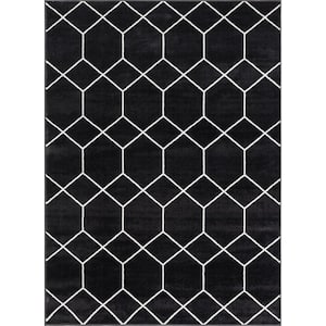 Bianca Black/Cream 5 ft. x 7 ft. Trellis Geometric Woven Rectangle Area Rug