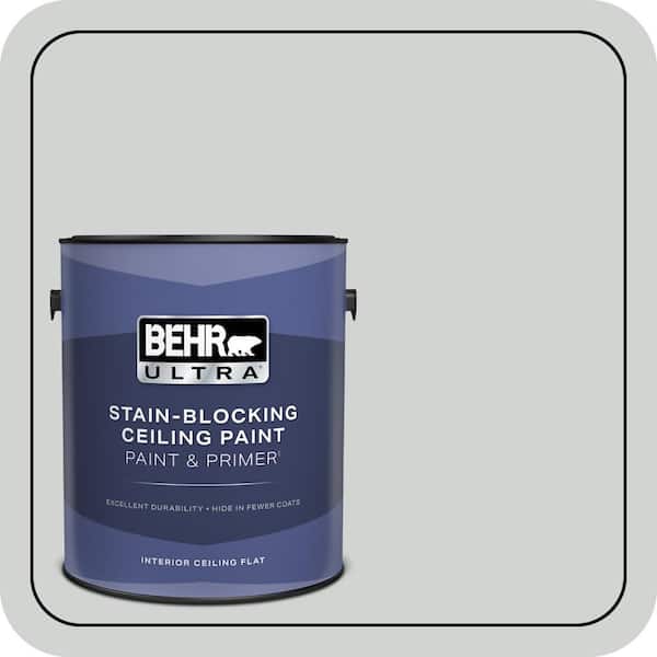 1 gal. #PPU26-11 Platinum Ceiling Flat Interior Paint and Primer