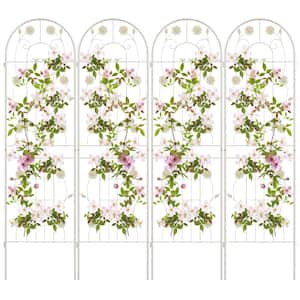 71 in. x 20 in. Metal Garden Trellis for Climbing Plants in White (4-Pack )