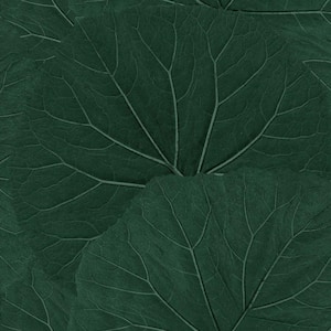 Xylem Green Evergreen Large Leaves Paper Non-Pasted Non-Woven Matte Wallpaper